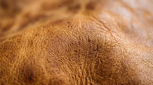 Close-up photographique d'une surface de cuir tanné végétal montrant sa texture naturelle et sa patine évolutive