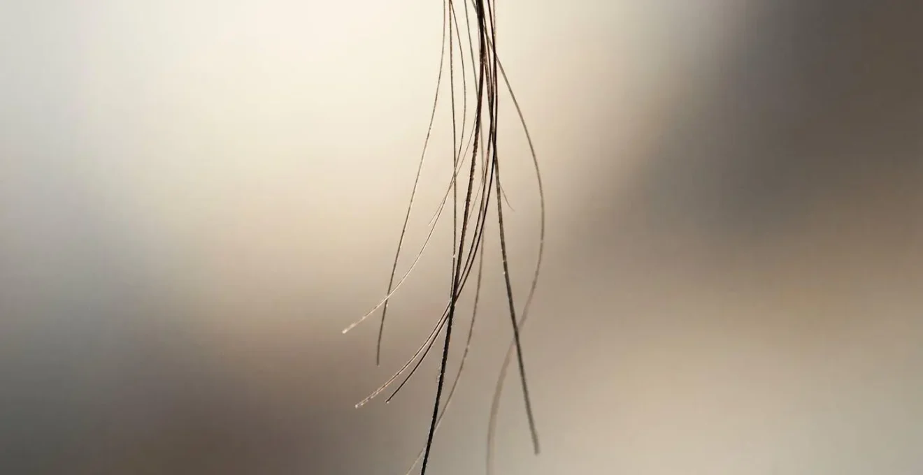 Vue macro détaillée de cheveux masculins fins illustrant la science des shampoings densifiants